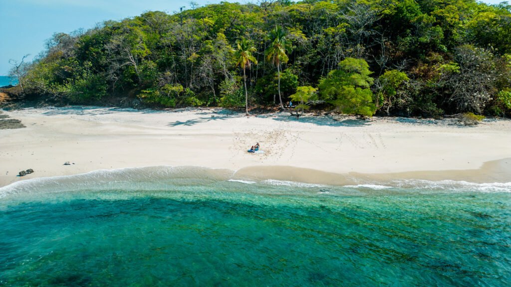 3b3c43c9-6143-408a-a171-fb1197184b64